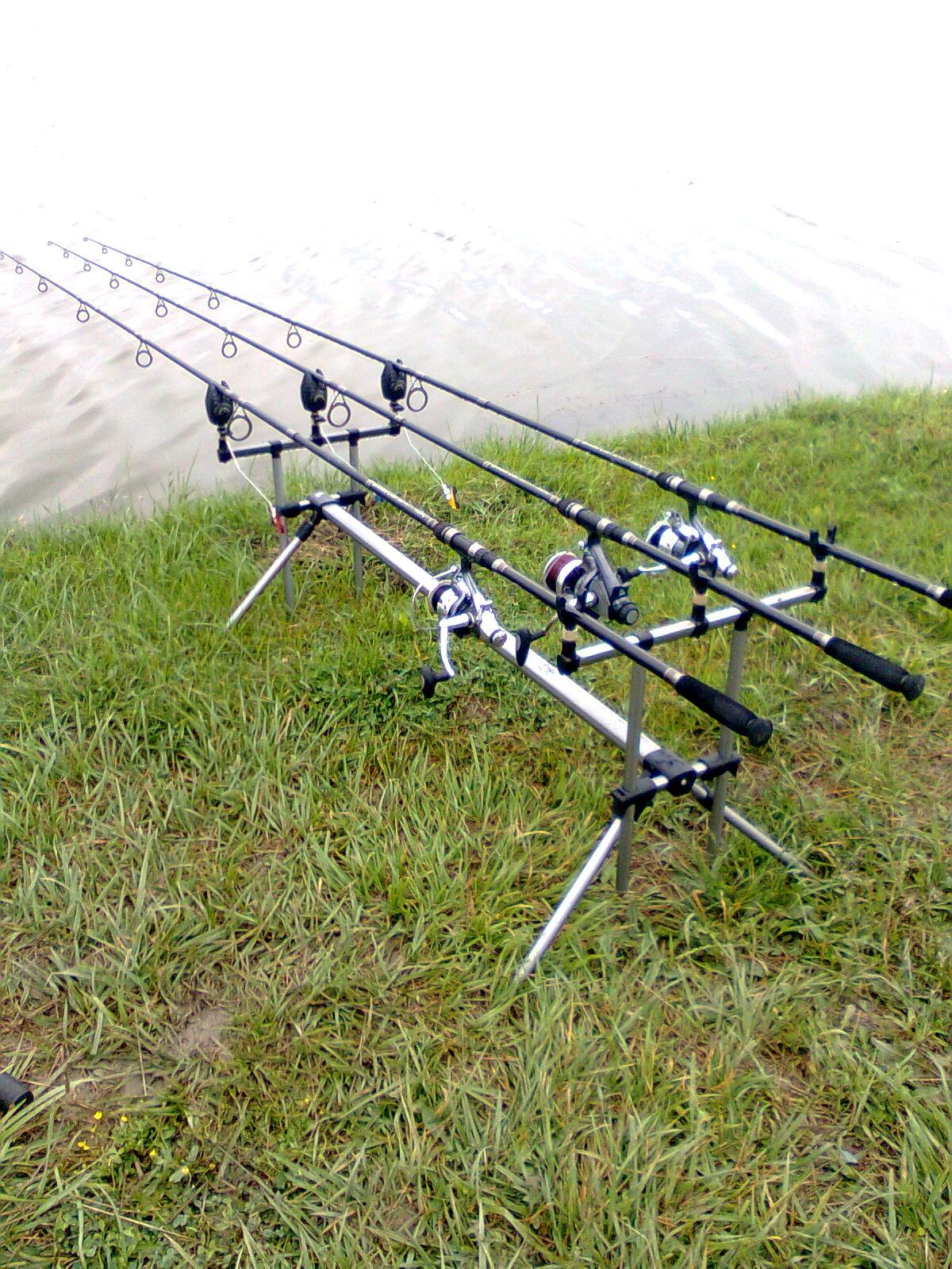 fishing carp - imagine0000.jpg